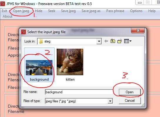  Selecting the Input (Cover) file in JPHS for Windows 